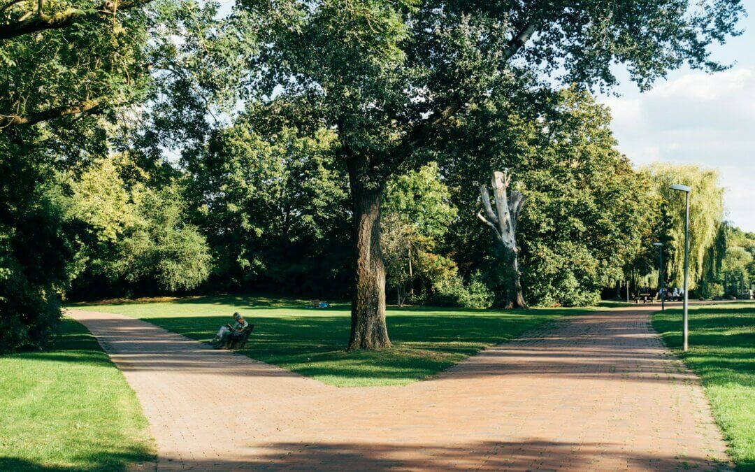 Keeping Parks Safe: The Role of Background Checks in Parks and Recreation Departments